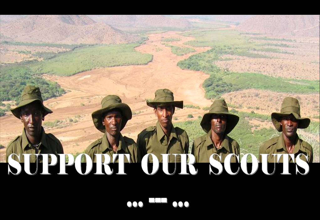 Support Our Scouts 