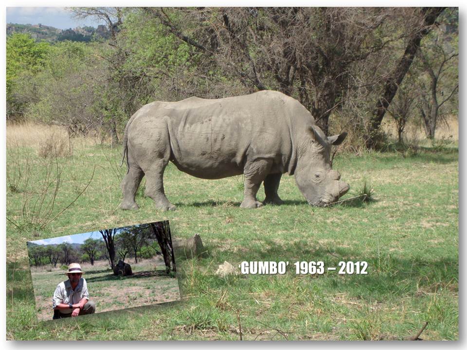 Gumbo  1963 -2012