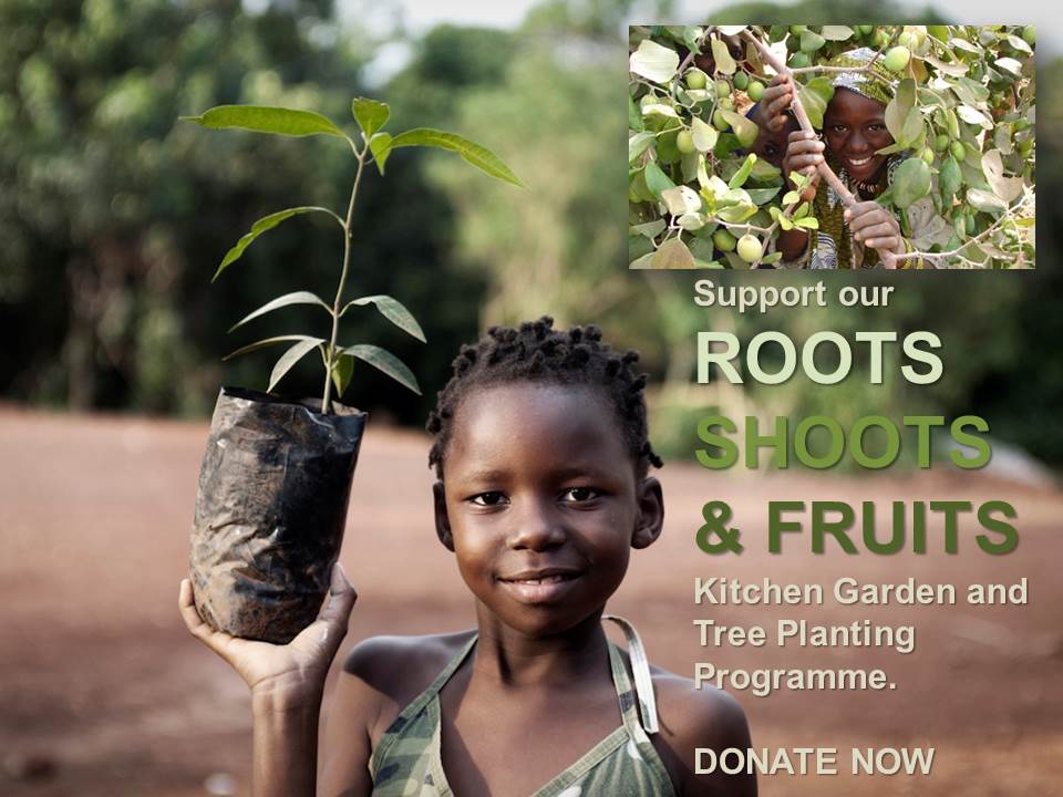 ROOTS SHOOTS & FRUITS