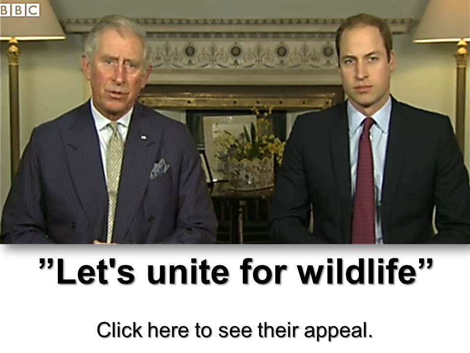 Lets Unite for Wildlife