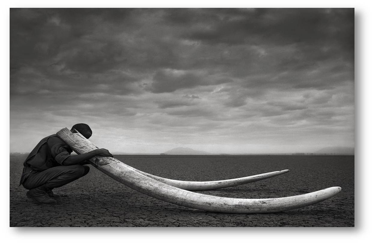 Image by Nick Brandt.
