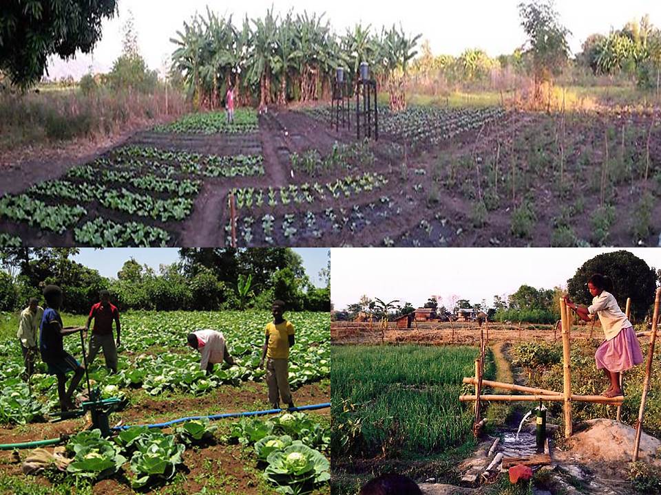 Village Impact